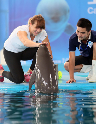 世预赛焦点 世预赛焦点